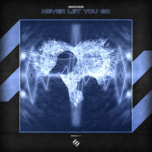 Never Let You Go (Extended Mix)