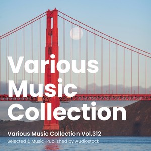 Various Music Collection Vol.312 -Selected & Music-Published by Audiostock-