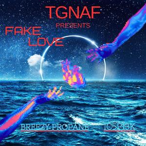 Fake love (feat. Breezy Propane) (Explicit)