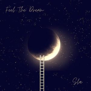 Feel The Dream