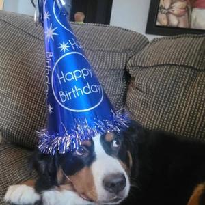 pinkies up (Explicit)