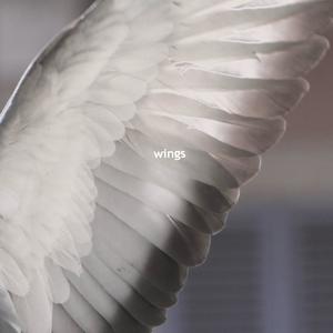 wings (you know best)