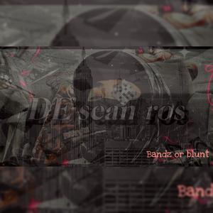 Bandz or Blunt