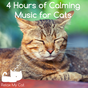 4 Hours of Calming Music for Cats