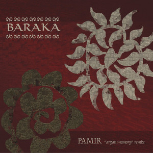 Pamir - Aryan Memory Remix