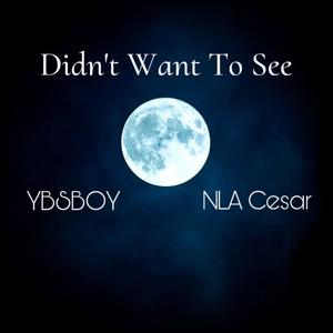 Didn't Want To See (feat. NLA ce$ar) [Explicit]