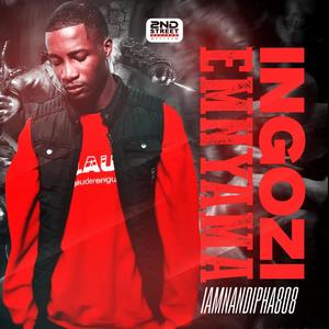 Die Fakkel (feat. Turnupkiid)