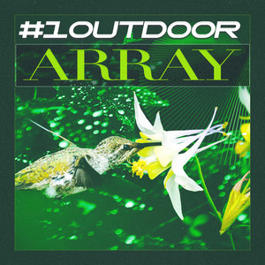 # 1 Outdoor Array