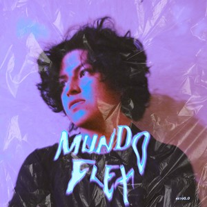 Mundo Flex