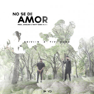 No se de amor(feat. Tivi Gunz)