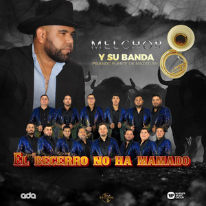 El Becerro No ha Mamado