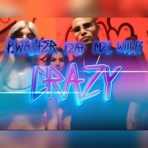 Crazy (feat. P.Walter) (Explicit)