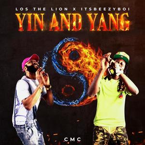 Yin and Yang (Explicit)