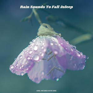 Rain Sounds To Fall Asleep