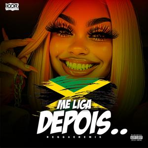 ME LIGA DEPOIS QUE EU TÔ OCUPADO (Reggae Remix)