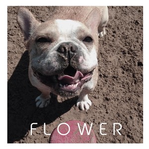 Flower (feat. Nini)
