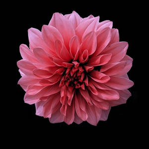 all luv/all drugz (Explicit)