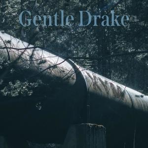 Gentle Drake