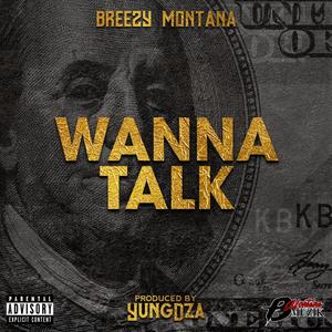 Wanna Talk (Explicit)