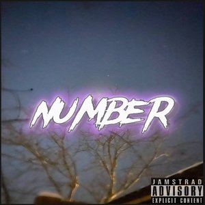 Number (Explicit)