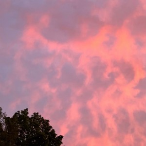 Cotton Candy (Explicit)