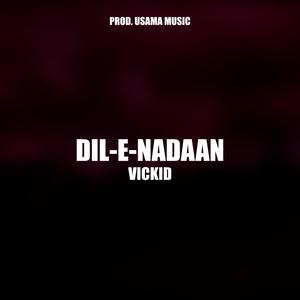 Dil-e-Nadaan (feat. Usama Rajpoot) [Explicit]