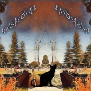 GirlsAreTripz(feat. Yokai Dreams & hero.) (Explicit)