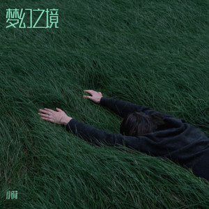 荷晓晓 - 梦幻之境