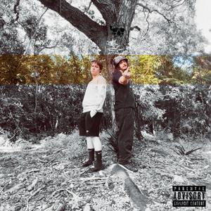Motorola (Explicit)