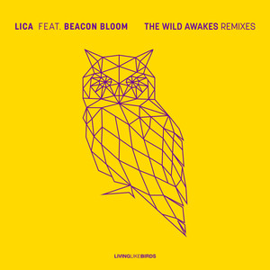 The Wild Awakes (Art In Motion Remix)