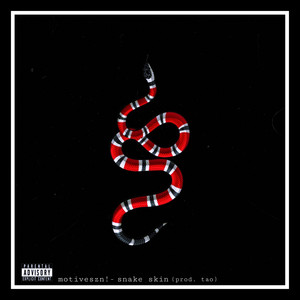 Snake Skin (Explicit)