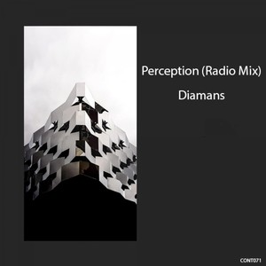 Perception(Radio Mix)