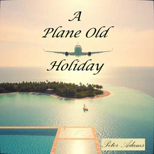 A Plane Old Holiday