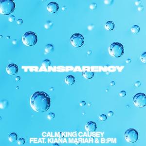 Transparency (feat. Kiana Mariah & B:PM) (Explicit)
