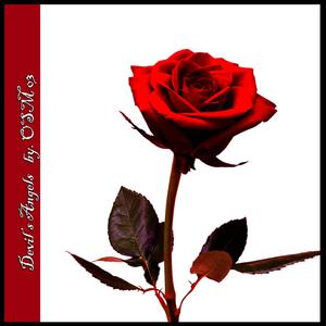 Spring(Grootman Groove)