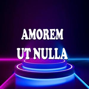 Ut Nulla