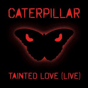 Tainted Love (Live)