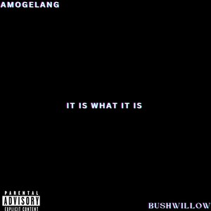 It Is What It Is (Explicit)