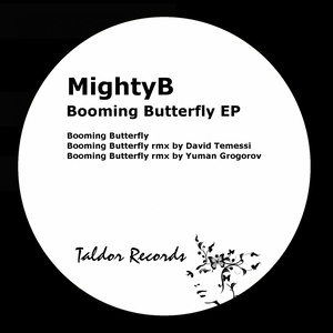 Booming Butterfly (Remix By David Temessi)