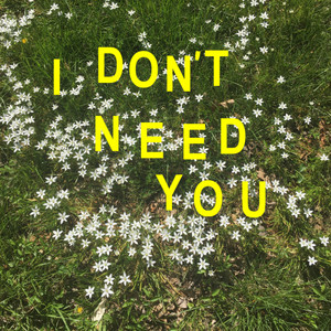 I Don't Need You