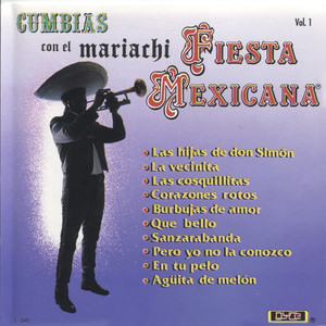 Cumbias Con El Mariachi, Vol. 1