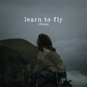 learn to fly