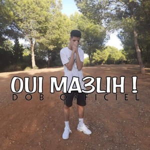 Oui Ma3lih