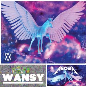 WANSY (we are not sure yet)