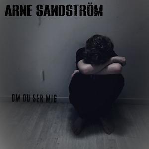 Om du ser mig (feat. Rasmus Sandström)