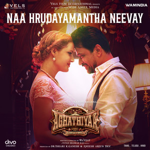 Naa Hrudayamantha Neevay