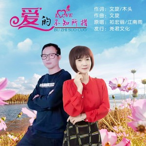 爱的不知所措 (DJ对唱)