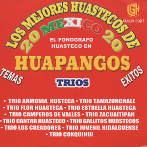 Los Mejores Huastecos De Mexico