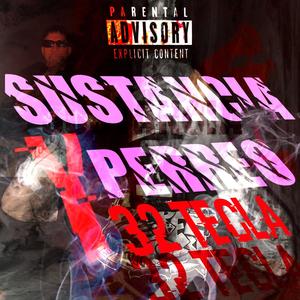 SUSTANCIA Y PERREO (feat. JJ beats) (Explicit)