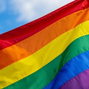 AMO OS GAYS